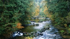 Oregon north rivers forests National