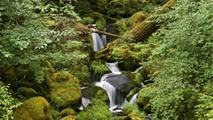 Oregon Range forests National