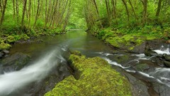Oregon rivers
