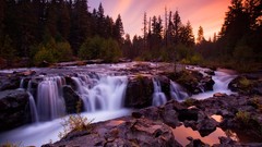 Oregon Rogue crimson