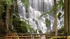 Oregon waterfalls