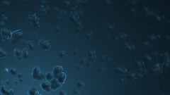 Organic Photo manipulation