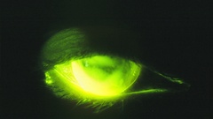 Original content high