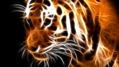 Other things filteredtiger ok