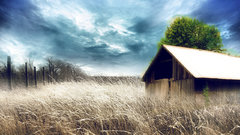 Otherland nature Art wheat