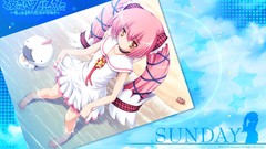 Otome renshin prister