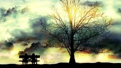 Ouran high school host