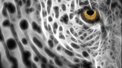 Out barley course turned