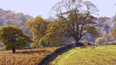 Out BMW Z4 2009 1280x1024 wallpape