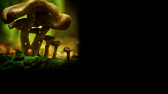 Out well You all catch folks tapped img