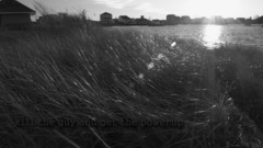 Outdoors grayscale monochrome