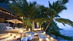 Outdoors palm trees evening