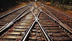 Outdoors railroad tracks foliage