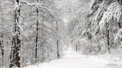 Outdoors snow landscapes Landscapes