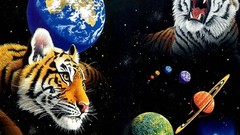 Outer space Animals Tigers