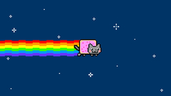 Outer Space cats rainbows