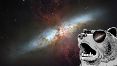 Outer space grizzly bears