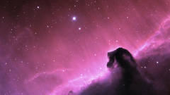Outer space Horsehead Nebula