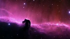 Outer space Horsehead Nebula