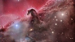 Outer space Horsehead Nebula