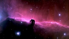 Outer space Horsehead Nebula