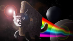Outer space nyan cat