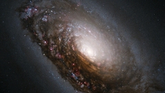 Outer space Stars galaxies