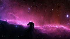Outer space Stars Horsehead