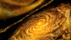 Outer space Stars nebulae