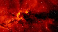 Outer Space Stars red