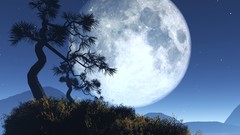 Outer space Trees moon