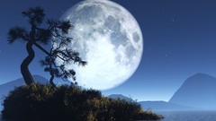 Outer space Trees moon