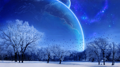 Outer space Trees night