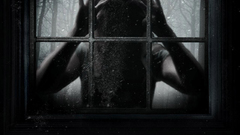 Outside window looking in