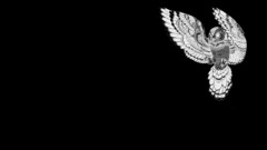 owl Animals artwork Simple Background Birds