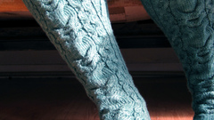 Owl socks leg high Resolution