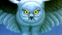 Owls album covers Rush