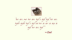 Owls hedgehog in fog