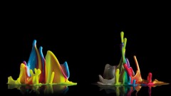 Paint black background colors splashes multicolor