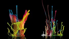 Paint black background colors splashes multicolor