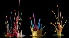 Paint black background colors splashes multicolor