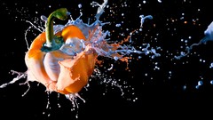 Paint black background colors splashes multicolor