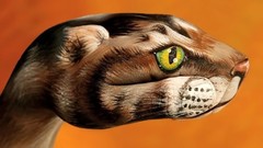 Paint body painting illusions