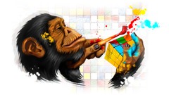 Paint chimpanzee rubiks cube digital art