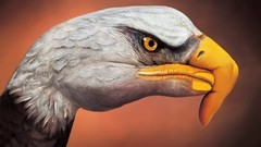 Paint Eagles body painting illusions