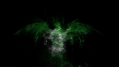 Paint Eagles Flags pakistan