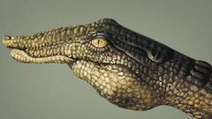 Paint hands Crocodiles