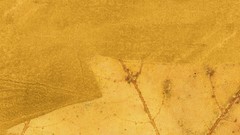 Paint lights abstract flames multicolor