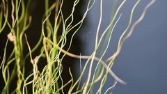 Paint lights abstract flames multicolor