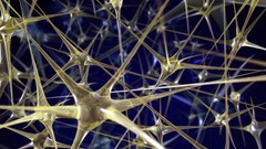 Paint lights abstract flames multicolor